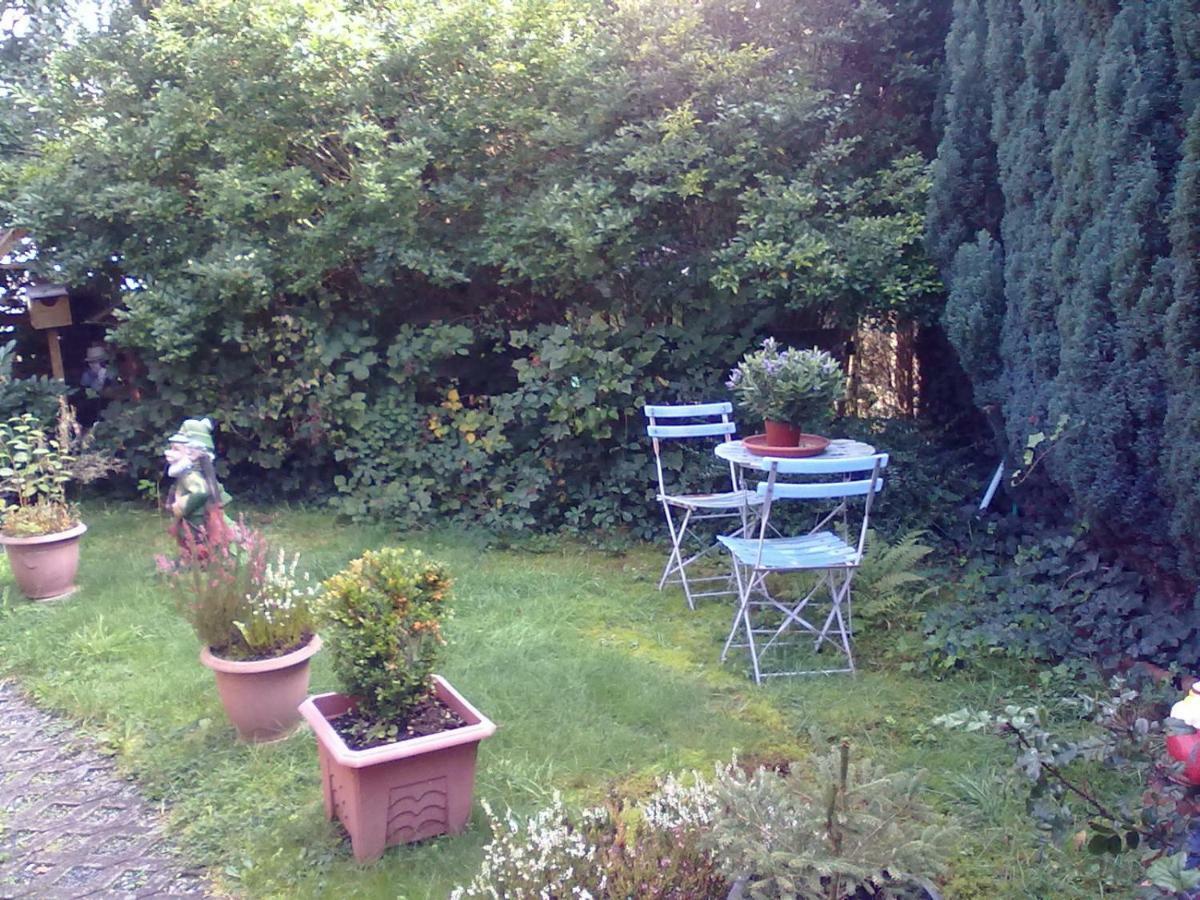 ** Im Weltkulturerbe Nahe Loreley Apartment Niederburg